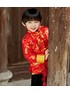 Traditional Chinese Long sleeve Tang padded Clothing for Boys