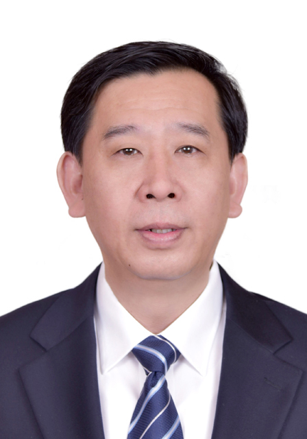 李新华 董事