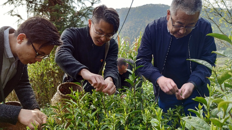 尊龙人生就是博ag旗舰厅(中国)官方网站